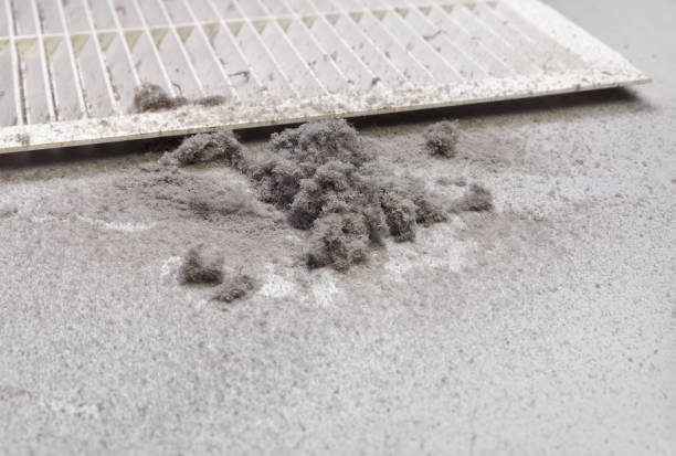 Best Affordable Duct Cleaning Services  in Providence, KY